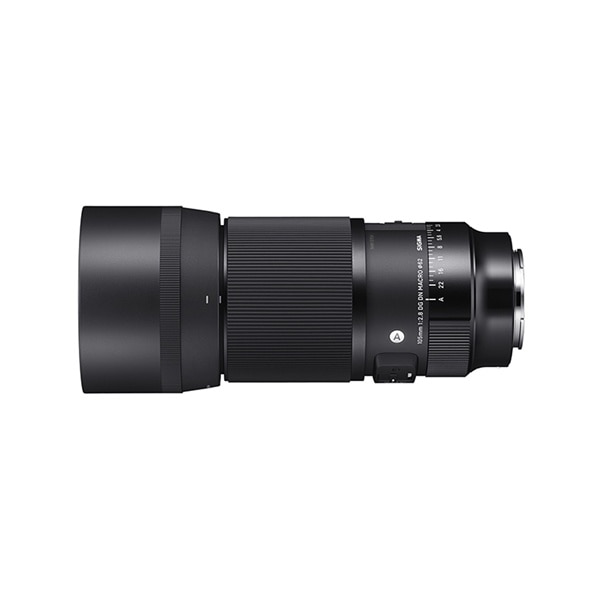 SIGMA(シグマ) 105mm F2.8 DG DN MACRO Art ソニーEマウント 260651
