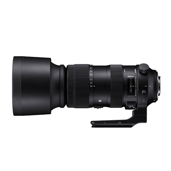 SIGMA(シグマ) APO 60-600mm F4.5-6.3 DG OS HSM Sports シグマ用