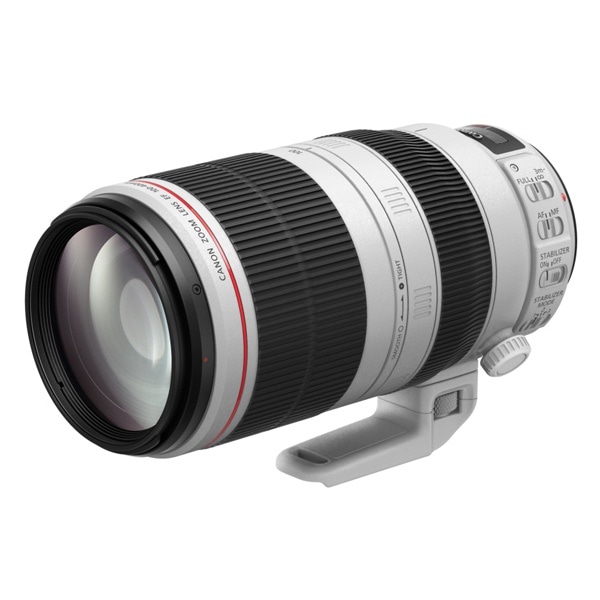 Canon(キヤノン) EF100-400mm F4.5-5.6L IS II USM 9524B001