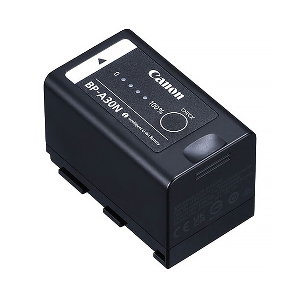 Canon(キヤノン) バッテリーパック BP-A30N 6663C001