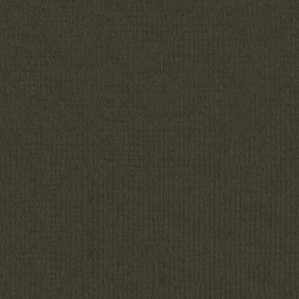 レザック 96 ファンシーペーパーオリヒメ ブラック