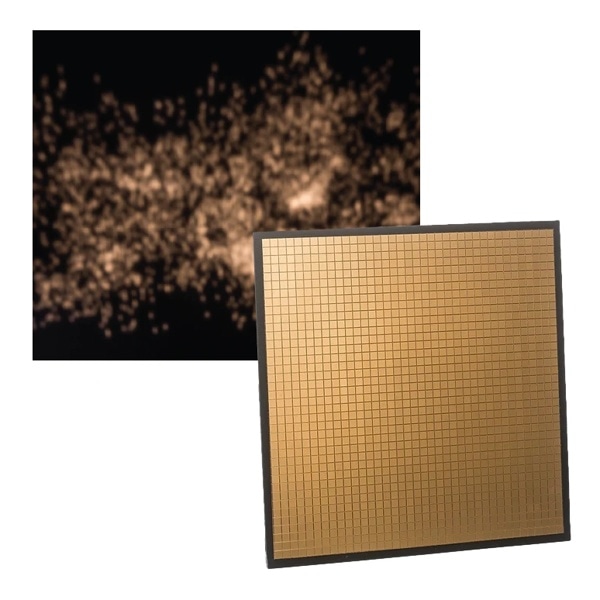 dedolight(デドライト) EFLECT 20x20cm マルチミラー 細目(ゴールド) DEFRB-MG1 265236