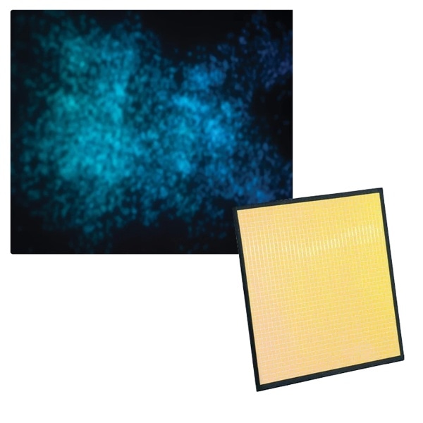 dedolight(デドライト) EFLECT 20x20cm マルチミラー 細目(トロピカルオレンジ) DEFRB-MTO1 265240