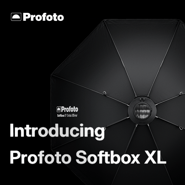 【Profoto】窓辺の光をいつでも簡単に再現「ソフトボックス」が新登場