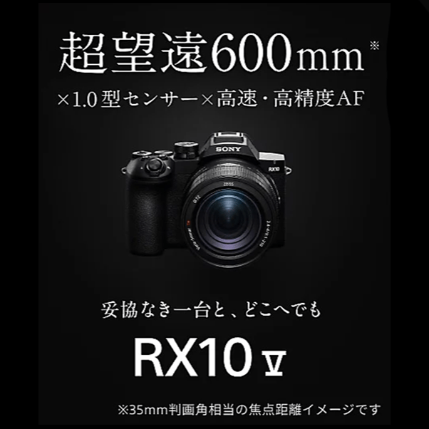 【SONY】超望遠600mm＊ 1.0型センサー 高速・高精度AF「RX10 V」Debut